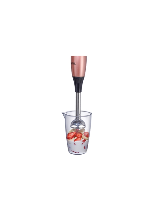 VESTEL Tarçın 5000 R El Blender Seti