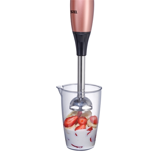 VESTEL Tarçın 5000 R El Blender Seti